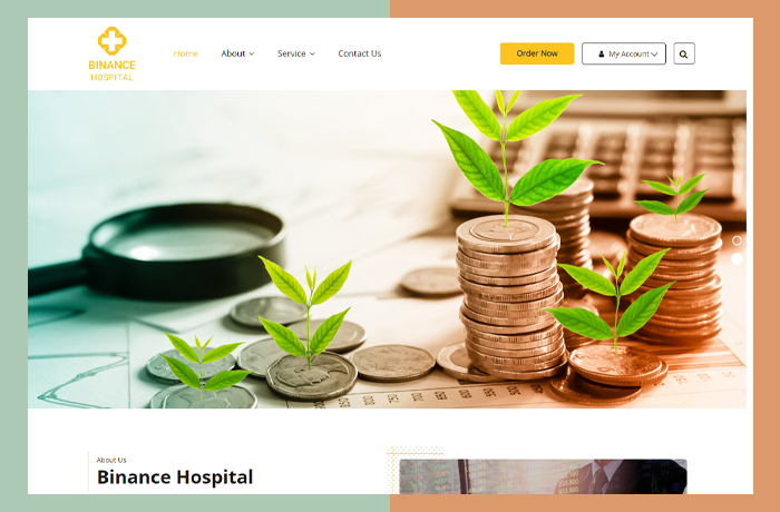 موقع الكتروني لشركة استشارات مالية Binance Hospital