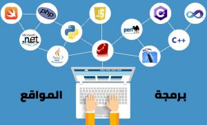 شركة لتصميم المواقع بالقاهرة